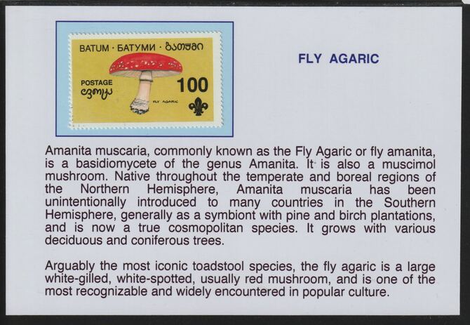 Batum 1994 Fungi -Fly Agaric mounted on glossy card with descriptive notes - privately produced 150mm x 100mm, stamps on fungi, stamps on scouts