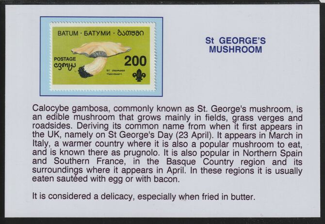 Batum 1994 Fungi -St George's Mushroom mounted on glossy card with descriptive notes - privately produced 150mm x 100mm, stamps on , stamps on  stamps on fungi, stamps on  stamps on scouts
