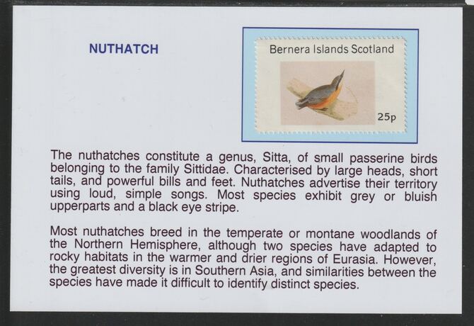 Bernera 1981 Birds - Nuthatch 25p mounted on glossy card with descriptive notes - privately produced 150mm x 100mm, stamps on , stamps on  stamps on birds, stamps on  stamps on nuthatch