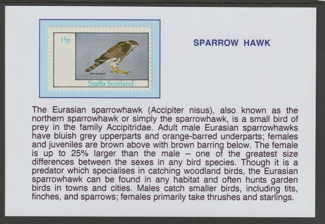 Staffa 1982 Birds of Prey- Sparrow Hawk 15p mounted on glossy card with historical notes - privately produced 150mm x 100mm, stamps on birds, stamps on birds of prey, stamps on sparrow hawk