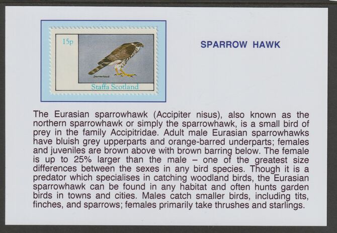 Staffa 1982 Birds of Prey- Sparrow Hawk 15p mounted on glossy card with historical notes - privately produced 150mm x 100mm, stamps on , stamps on  stamps on birds, stamps on  stamps on birds of prey, stamps on  stamps on sparrow hawk