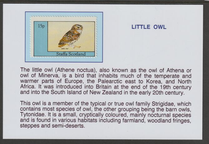 Staffa 1982 Birds of Prey- Little Owl 15p mounted on glossy card with historical notes - privately produced 150mm x 100mm, stamps on birds, stamps on birds of prey, stamps on owls