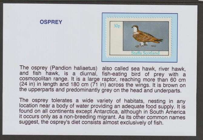 Staffa 1982 Birds of Prey- Osprey 30p mounted on glossy card with historical notes - privately produced 150mm x 100mm, stamps on birds, stamps on birds of prey, stamps on osprey