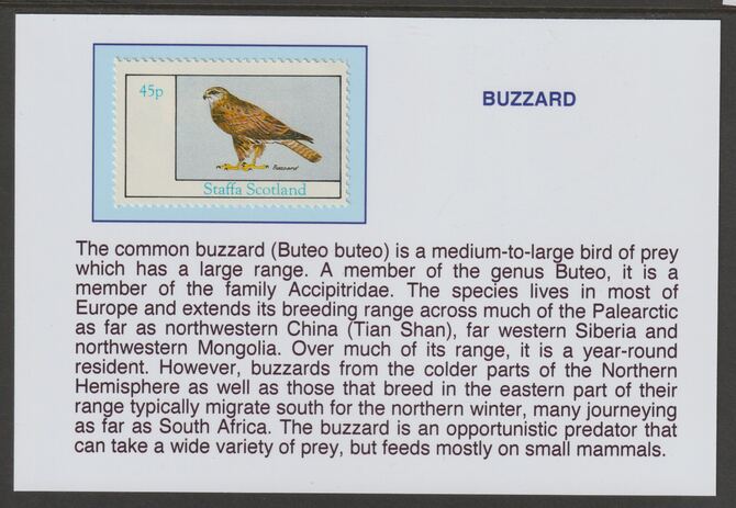 Staffa 1982 Birds of Prey- Buzzard 45p mounted on glossy card with historical notes - privately produced 150mm x 100mm, stamps on birds, stamps on birds of prey, stamps on buzzard