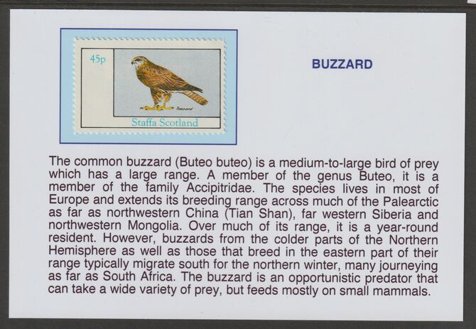 Staffa 1982 Birds of Prey- Buzzard 45p mounted on glossy card with historical notes - privately produced 150mm x 100mm, stamps on , stamps on  stamps on birds, stamps on  stamps on birds of prey, stamps on  stamps on buzzard