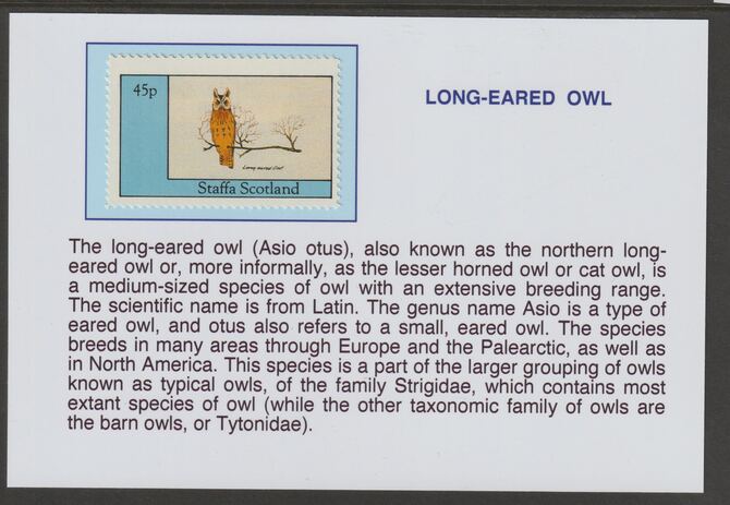 Staffa 1982 Birds of Prey- Long-Eared Owl 45p mounted on glossy card with historical notes - privately produced 150mm x 100mm, stamps on birds, stamps on birds of prey, stamps on owls