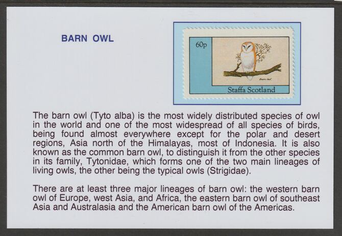 Staffa 1982 Birds of Prey- Barn Owl 60p mounted on glossy card with historical notes - privately produced 150mm x 100mm, stamps on birds, stamps on birds of prey, stamps on owls