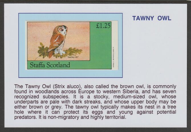 Staffa 1982 Birds of Prey- Tawny Owl Â£1.25 souvenir sheet mounted on glossy card with historical notes - privately produced 150mm x 100mm, stamps on , stamps on  stamps on birds, stamps on  stamps on birds of prey, stamps on  stamps on owls