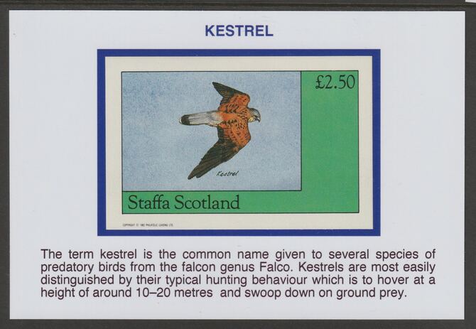 Staffa 1982 Birds of Prey- Kestrel Â£2.50 deluxe sheet mounted on glossy card with historical notes - privately produced 150mm x 100mm, stamps on birds, stamps on birds of prey, stamps on kestrel