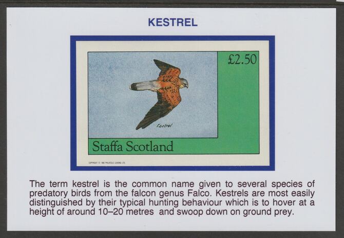 Staffa 1982 Birds of Prey- Kestrel £2.50 deluxe sheet mounted on glossy card with historical notes - privately produced 150mm x 100mm, stamps on birds, stamps on birds of prey, stamps on kestrel