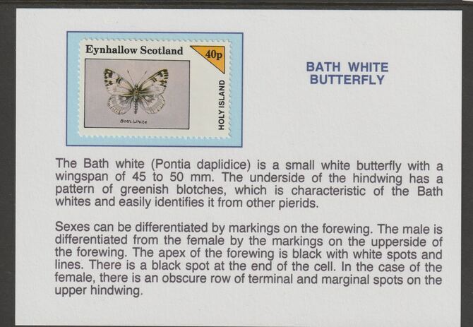 Eynhallow 1982 Butterflies - Bath White 40p mounted on glossy card with historical notes - privately produced 150mm x 100mm, stamps on , stamps on  stamps on butterflies