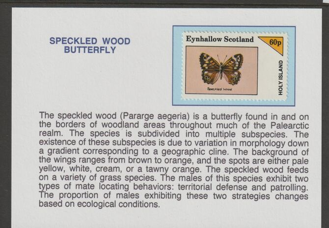 Eynhallow 1982 Butterflies - Speckled Wood 60p mounted on glossy card with historical notes - privately produced 150mm x 100mm, stamps on , stamps on  stamps on butterflies