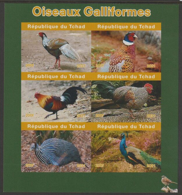 Chad 2021 Game Birds imperf sheetlet containing  set of 6 values unmounted mint, privately produced offered purely on its thematic appeal, stamps on birds, stamps on peacocks, stamps on pheasants