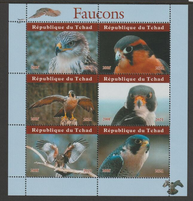 Chad 2021 Falcons #1 perf sheetlet containing  set of 6 values unmounted mint, privately produced offered purely on its thematic appeal, stamps on birds, stamps on birds of prey, stamps on falcons