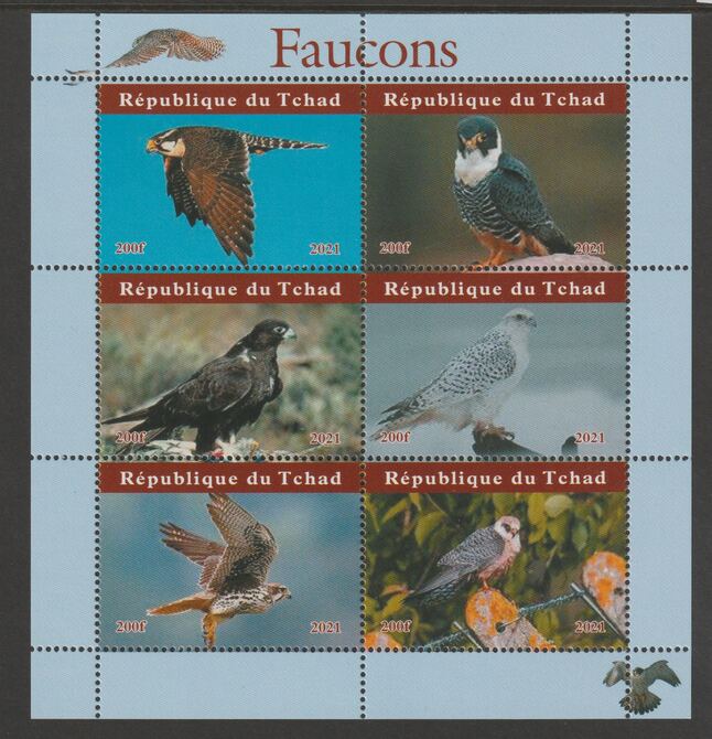 Chad 2021 Falcons #2 perf sheetlet containing  set of 6 values unmounted mint, privately produced offered purely on its thematic appeal, stamps on birds, stamps on birds of prey, stamps on falcons