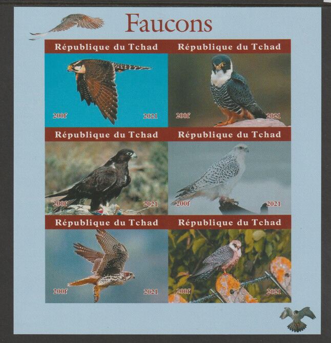 Chad 2021 Falcons #2 imperf sheetlet containing  set of 6 values unmounted mint, privately produced offered purely on its thematic appeal, stamps on , stamps on  stamps on birds, stamps on  stamps on birds of prey, stamps on  stamps on falcons