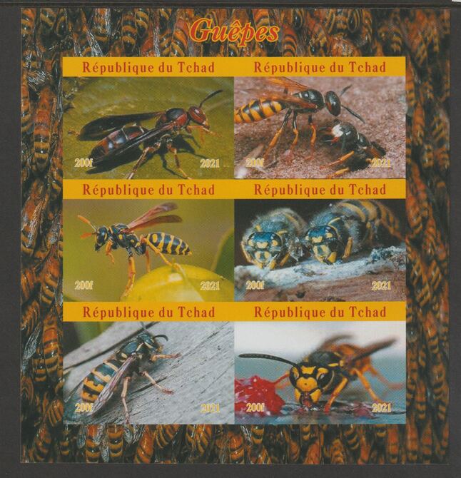 Chad 2021 Wasps imperf sheetlet containing  set of 6 values unmounted mint, privately produced offered purely on its thematic appeal, stamps on , stamps on  stamps on insects, stamps on  stamps on wasps