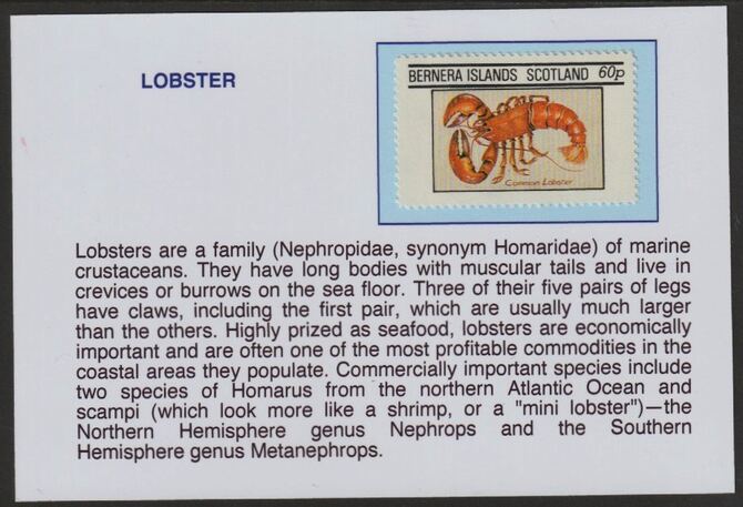 Bernera 1982 Shell Fish - Lobster 60p mounted on glossy card with historical notes - privately produced 150mm x 100mm, stamps on marine life, stamps on lobsters