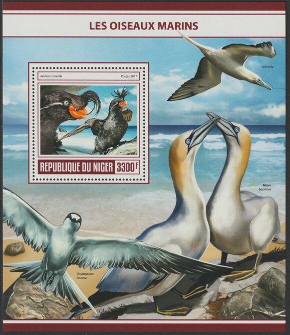 Niger Republic 2017 Sea Birds perf souvenir sheet containing one value unmounted mint, stamps on , stamps on  stamps on birds, stamps on  stamps on 