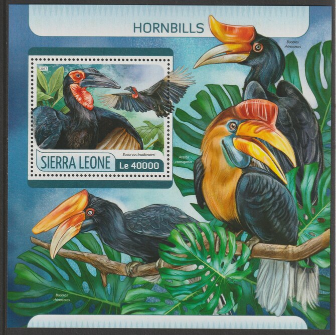 Sierra Leone 2017 Hornbills perf deluxe sheet containing one value unmounted mint, stamps on birds, stamps on hornbills