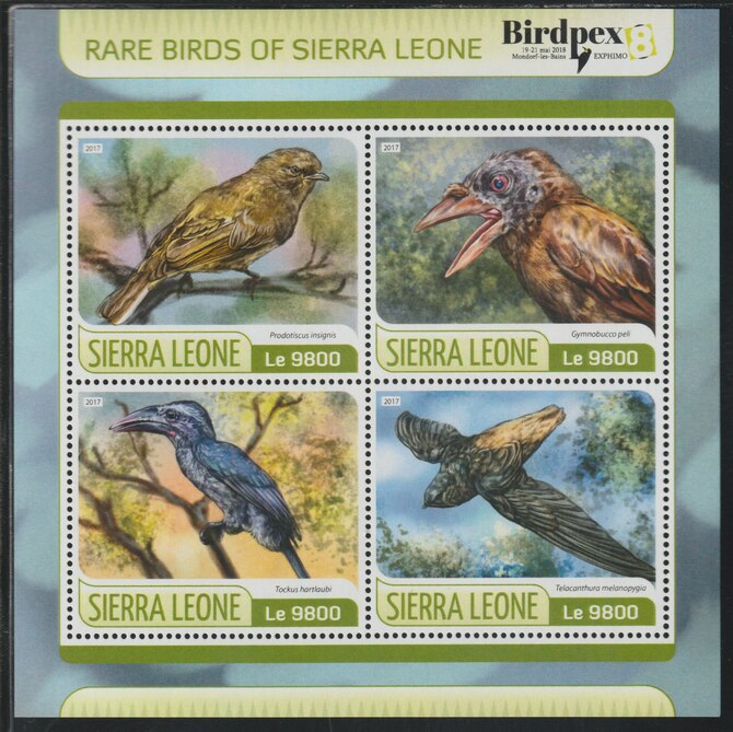 Sierra Leone 2017 Rare Birds perf sheetlet containing 4 values unmounted mint, stamps on birds