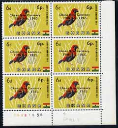 Ghana 1965 New Currency 6p on 6d Bishop Bird unmounted mint plate block of 6 with variety short 1 in date, stamps on 