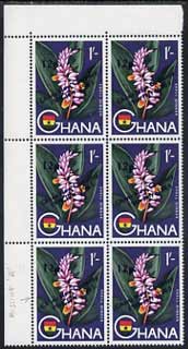 Ghana 1965 New Currency 12p on 1s unmounted mint block of 6, one stamp with a missing from Ghana, stamps on 