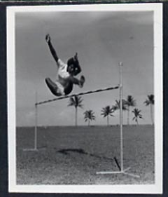 Fiji 1951 High Jump B&W photograph (2 x 2.5 in) as sumitted by the government as suggestion for a new stamp issue, with official h/stamp on reverse, stamps on 