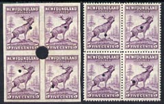 Newfoundland 1941-44 KG6 Reindeer 5c in perf & imperf proof blocks of 4 from Waterlow archives, each stamp with security punch hole, SG280 some wrinkling, stamps on , stamps on  stamps on , stamps on  stamps on  kg6 , stamps on  stamps on 