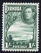 Bermuda 1938-52 KG6 Grape Bay 1s bluish green m/m SG 115a, stamps on , stamps on  kg6 , stamps on 