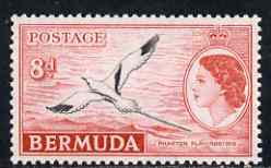 Bermuda 1953-62 White-tailed Tropic Bird 8d unmounted mint, SG 143a, stamps on , stamps on  stamps on bermuda 1953-62 white-tailed tropic bird 8d unmounted mint, stamps on  stamps on  sg 143a