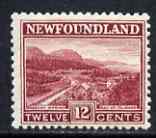 Newfoundland 1923-26 DLR 12c lake unmounted mint SG159, stamps on 