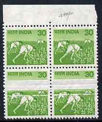 India 1979-88 Harvesting Maize 30p marginal block of 4 with pre-printing paper fold resulting in 5mm wide blank band affecting two stamps, both of which are oversize as a result, unmounted mint SG 926var, stamps on , stamps on  stamps on india 1979-88 harvesting maize 30p marginal block of 4 with pre-printing paper fold resulting in 5mm wide blank band affecting two stamps, stamps on  stamps on  both of which are oversize as a result, stamps on  stamps on  unmounted mint sg 926var