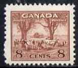 Canada 1942-48 KG6 War Effort 8c Cattle mtd mint SG 382, stamps on , stamps on  kg6 , stamps on 