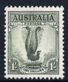 Australia 1937-49 KG6 Lyre Bird 1s P13.5 x 14 lightly mounted SG 174, stamps on , stamps on  kg6 , stamps on 