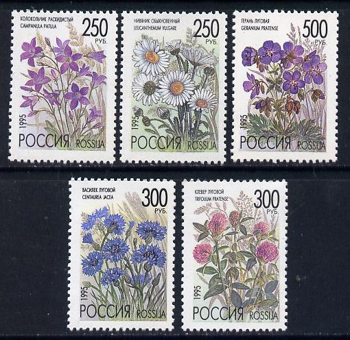 Russia 1995 Wild Flowers set of 5 unmounted mint, SG 6529-33, stamps on flowers