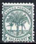 Samoa 1899 Palm Trees 1/2d blue-green mtd mint SG 88, stamps on 