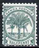 Samoa 1899 Palm Trees 1/2d blue-green mtd mint SG 88, stamps on , stamps on  stamps on samoa 1899 palm trees 1/2d blue-green mtd mint sg 88