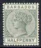 Barbados 1882-86 QV 1/2d dull green Crown CA fresh mounted mint but few short perfs SG89