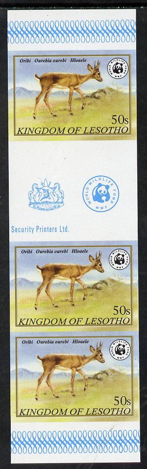 Lesotho 1981 WWF - Oribi 50s imperf gutter strip of 3 unmounted mint, only about 20 strips believed to exist, SG 472, stamps on animals, stamps on  wwf , stamps on 