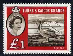 Turks & Caicos Islands 1960 Brown Pelican A31 unmounted mint SG 253, stamps on , stamps on  stamps on birds, stamps on  stamps on pelicans