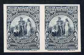 Newfoundland 1897 400th Anniversary Seal of Colony 30c slate-blue IMPERF plate proof pair on thin card ex ABNCo archives, as SG 77, stamps on , stamps on  stamps on newfoundland 1897 400th anniversary seal of colony 30c slate-blue imperf plate proof pair on thin card ex abnco archives, stamps on  stamps on  as sg 77