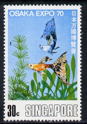 Singapore 1970 Osaka World Fair 30c Tropical Fish unmounted mint, SG 129, stamps on , stamps on  stamps on fish, stamps on  stamps on marine-life