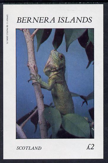 Bernera 1982 Lizards imperf deluxe sheet (£2 value) unmounted mint, stamps on animals   reptiles