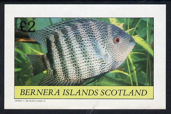 Bernera 1982 Tropical Fish imperf deluxe sheet (£2 value) unmounted mint, stamps on fish     marine-life