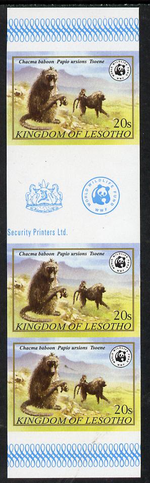 Lesotho 1981 WWF - Chacma Baboon 20s imperf gutter strip of 3 unmounted mint, only about 20 strips believed to exist, SG 472, stamps on , stamps on  stamps on animals, stamps on  stamps on apes, stamps on  stamps on  wwf , stamps on  stamps on 