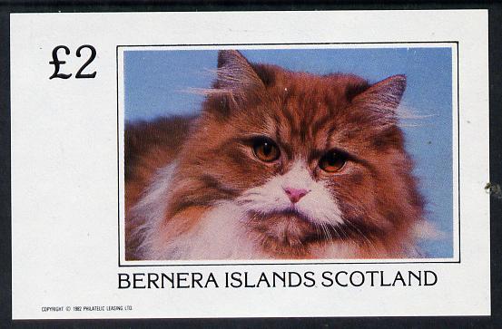 Bernera 1982 Cats imperf deluxe sheet (£2 value) unmounted mint, stamps on animals   cats
