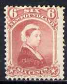 Newfoundland 1868-73 QV 6c rose mounted mint SG39