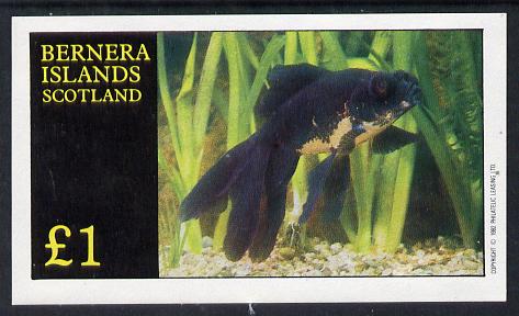 Bernera 1982 Ornamental Fish imperf souvenir sheet (£1 value) unmounted mint, stamps on fish     marine-life