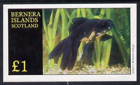 Bernera 1982 Ornamental Fish imperf souvenir sheet (Â£1 value) unmounted mint, stamps on , stamps on  stamps on fish     marine-life